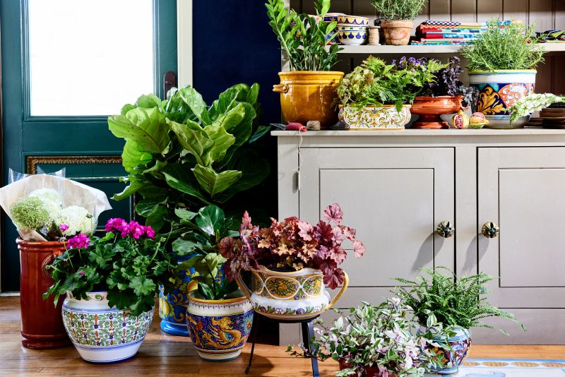 Engaging Your Green Thumb with Italian Ceramic Planters